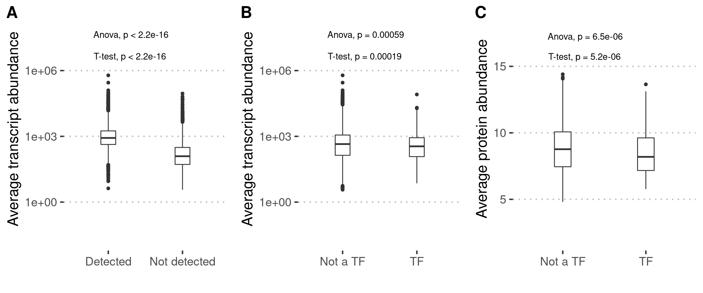 FigureS1: (A) Genes where protein abundance is detected have a significantly higher mean transcript abundance (One way ANOVA, followed by t-test). Average transcript abundance of protein coding genes (n = 12,732) that are detected (TRUE, n = 7,240) and not detected (FALSE, n = 5,492) in the proteomics data are plotted. (B, C) TFs show a significantly lower mean for both transcript and protein abundance in comparison to other genes (One way ANOVA, followed by t-test). Average transcript and protein abundance of protein coding genes that are transcription factors (TF) and not transcription factors (Not a TF) are plotted.